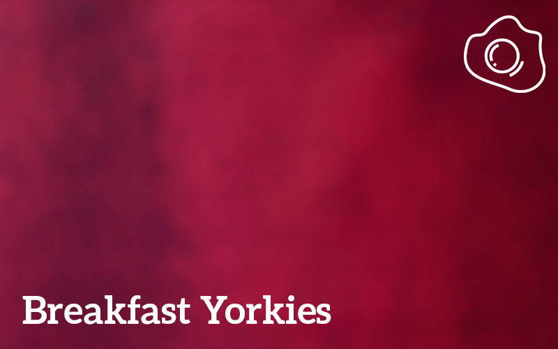 breakfastyorkies-recipe-sb.jpg