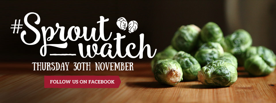 #Sproutwatch at Toby Carvery
